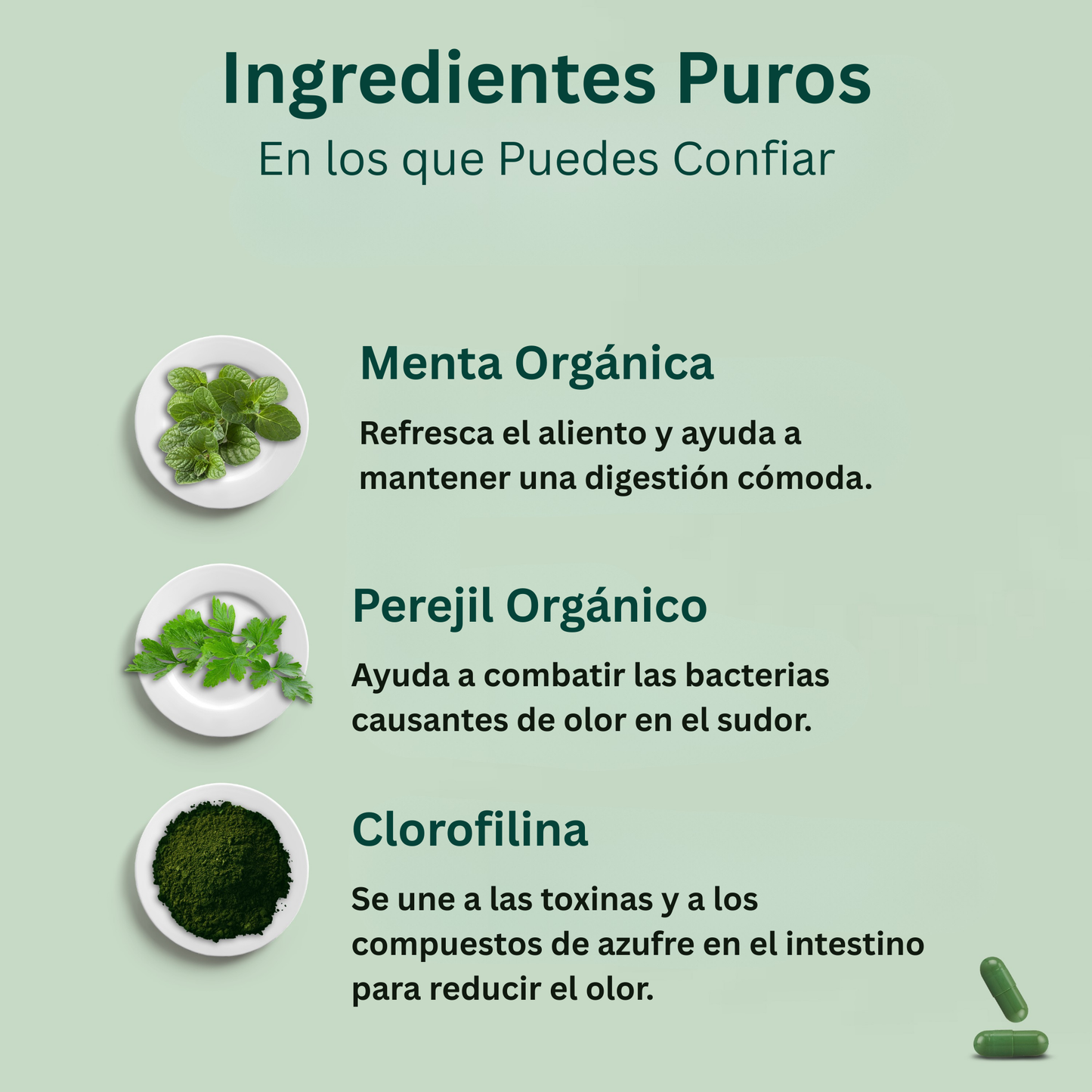 Parmint – Desodorante corporal interno